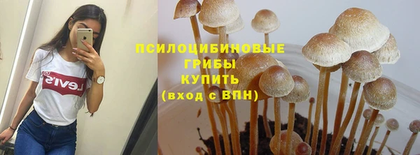 круглые Алексин